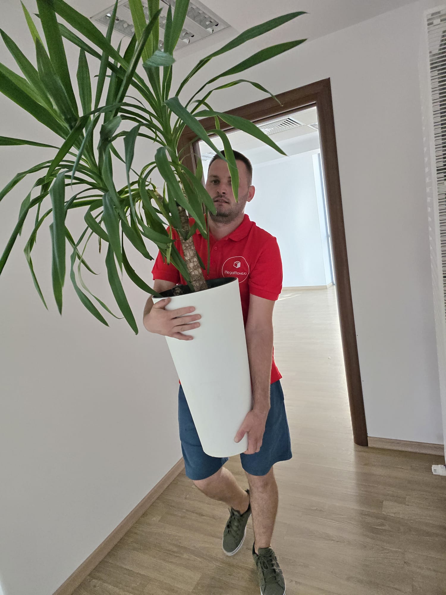 mutari mobila sector 2

mutari mobila sector 3
mutari mobila sector 4
mutari mobila sector 6
mutari mobila sector 5