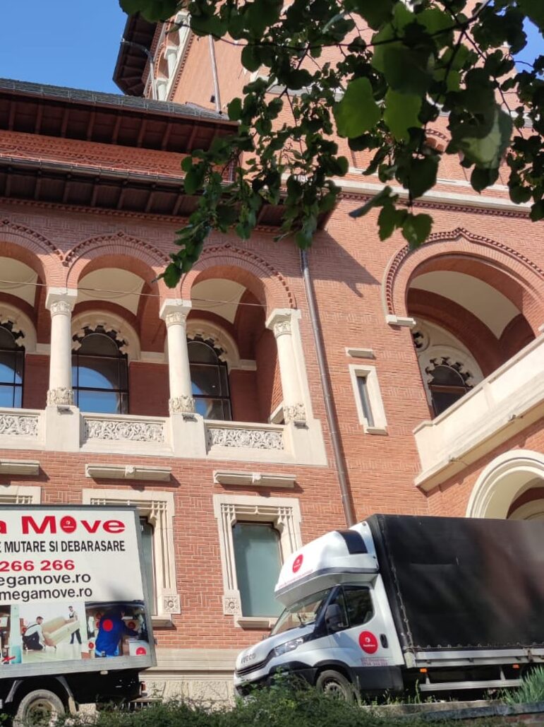 Dube specializate pentru transport mobilă