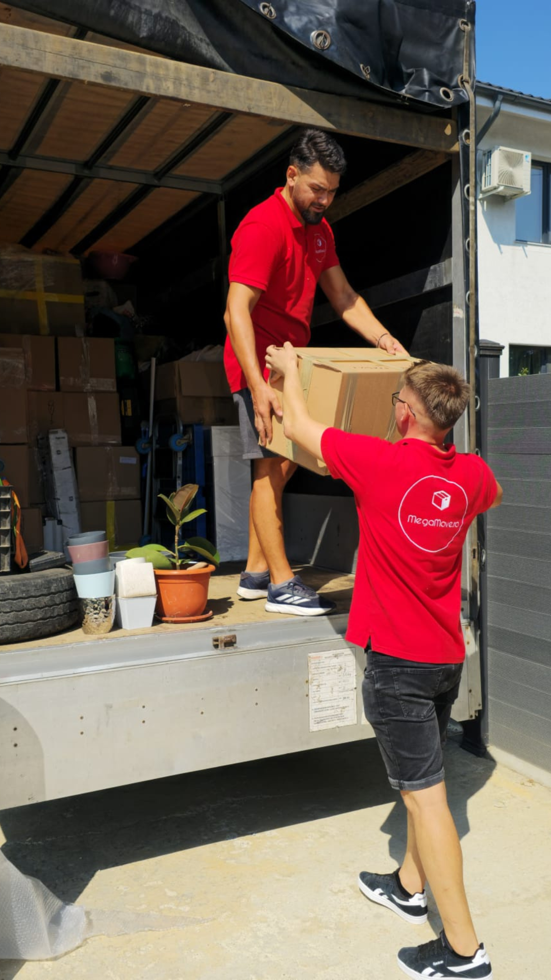 mutari mobila sector 2

mutari mobila sector 3
mutari mobila sector 4
mutari mobila sector 6
mutari mobila sector 5